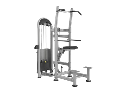Hot Sale Gym Equipment Assist Dip Chin